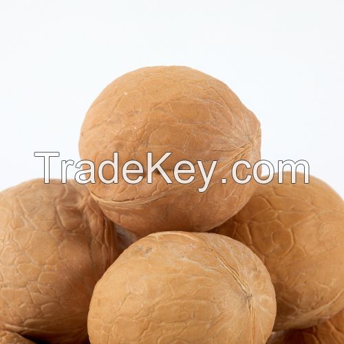 Most Popular Organic Walnuts With Shell Chinese North High Quality Wal