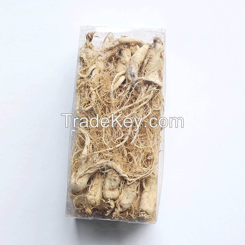 traditional medicine ginseng nourish bright ginseng