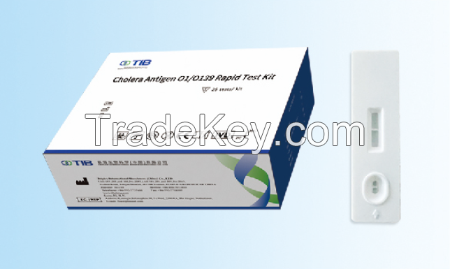 Cholera Antigen O1/O139 Rapid Test Kit