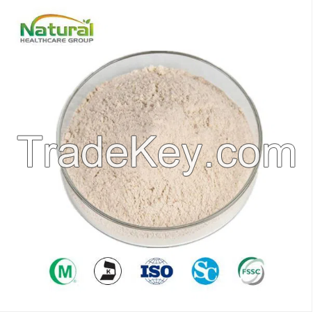 Garlic Extract Powder