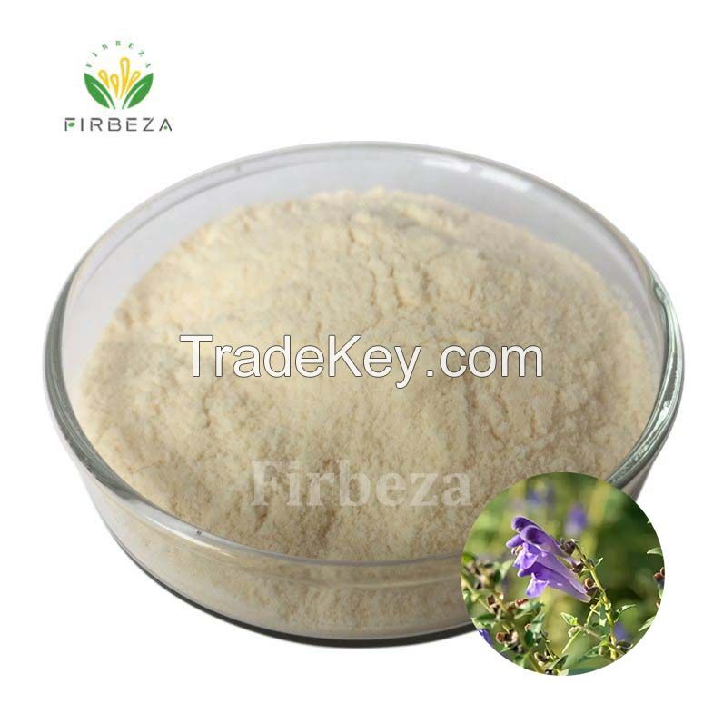 Bulk Wholesale Baical Skullcap Root Extract Powder 85% Baicalin