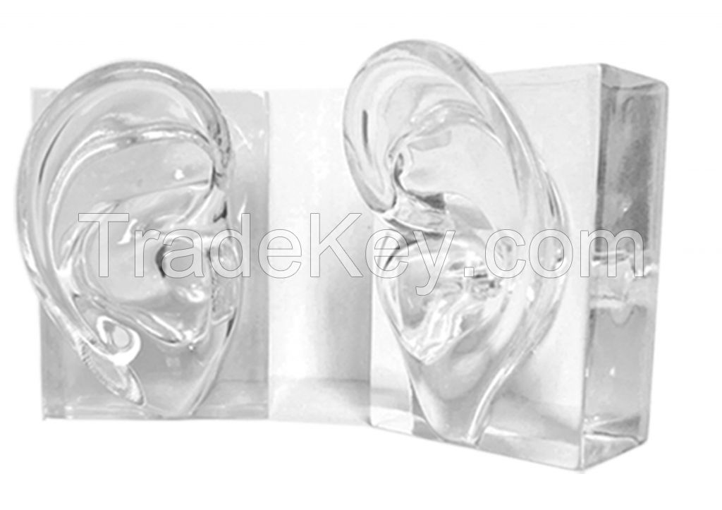 Clear Acrylic Demonstration Earmold Show Ear Display to Display Hearing Aid Medical Science Right Ear Single Box