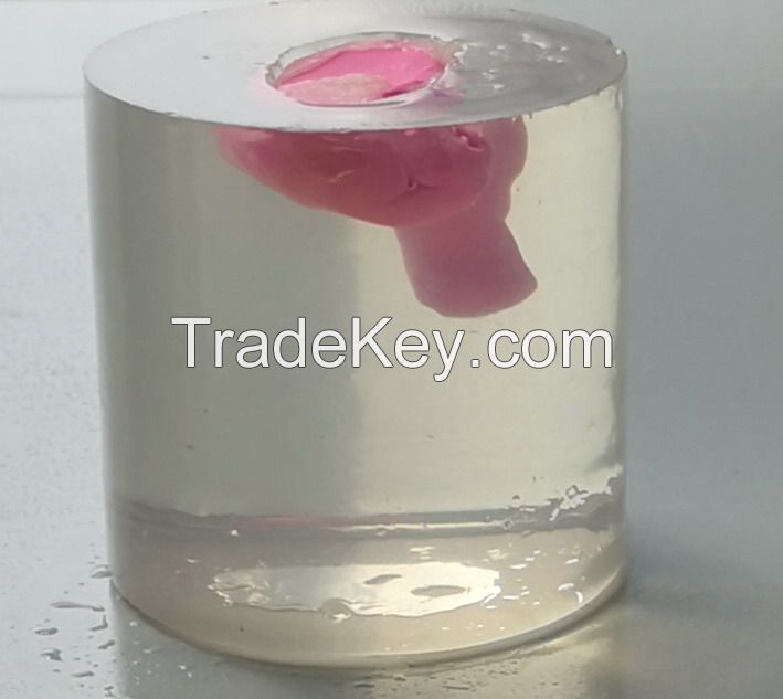  Solid Earmold Agar for Ear Impression Duplicating