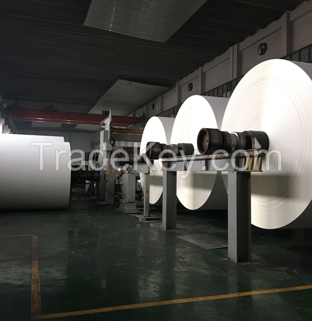 pe coated paper