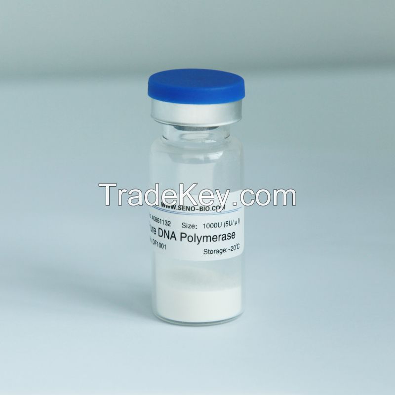 Taq DNA Polymerase