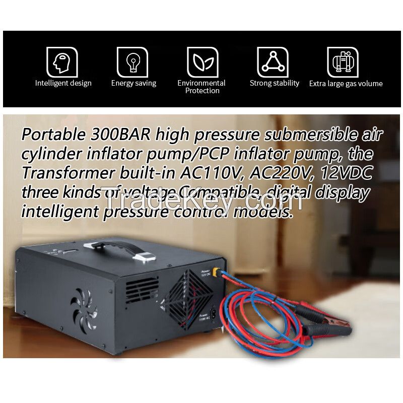 12v/110v Portable Pcp Air Compressor 4500 Psi Auto Stop Pump with LCD Digital Display