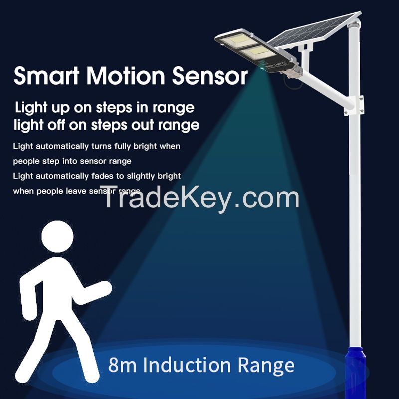 Solar Motion Inductive LED (reference price)