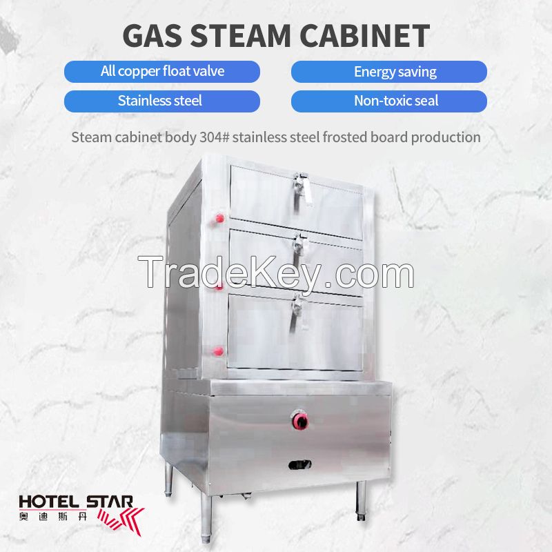 Commercial gas steam cabinet