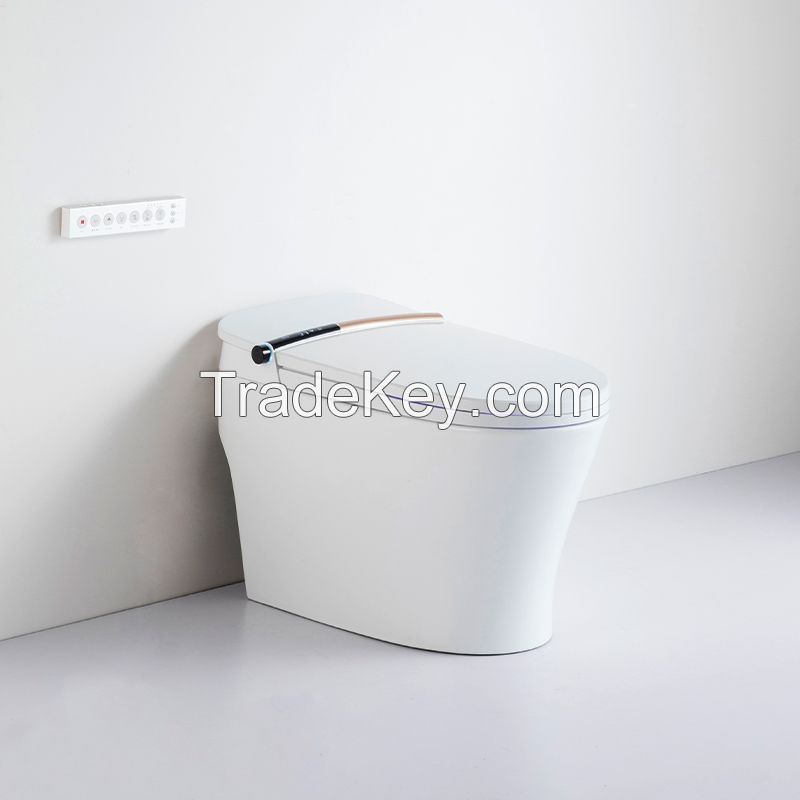 Antimicrobial material, self-cleaning nozzle and toilet function of household intelligent toilet