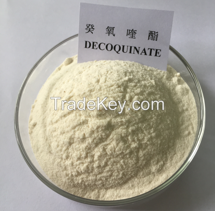 Animal Feed Additives Anticoccidials Premix Decoquinate 6 % Powder Premix