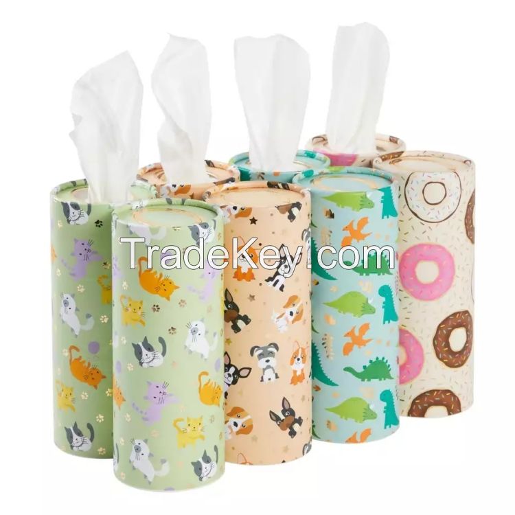 Customized Promotional Eco-friendly Soft Facial Tissue Paper Boxes For Cars