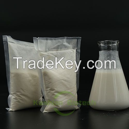 Environmental protection biological wastewater treatment bacteria powder