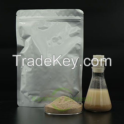 Environmental protection biological wastewater treatment bacteria powder