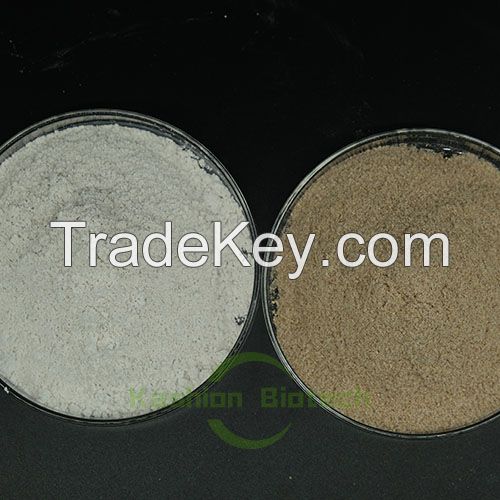 Environmental protection biological wastewater treatment bacteria powder