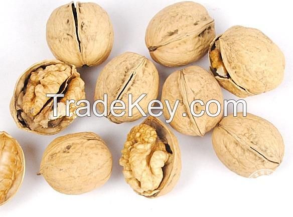 cheap price Xinjiang 185 Paper Shell Walnut thin shell washed