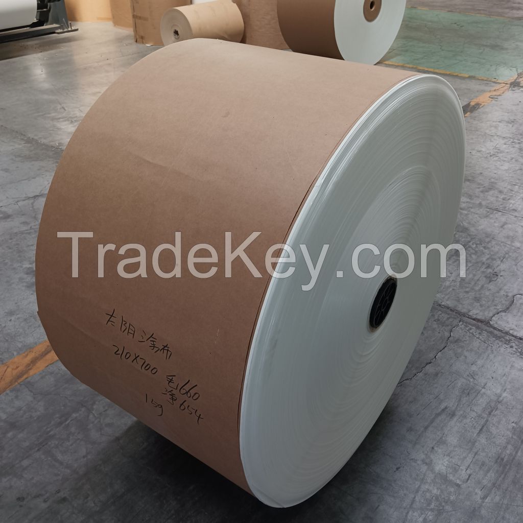 PE coated paper roll