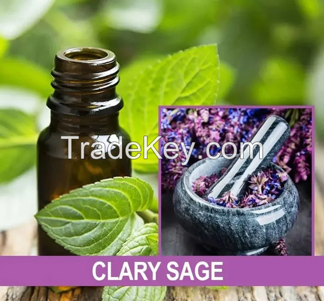 Salvia elata essential oil pure