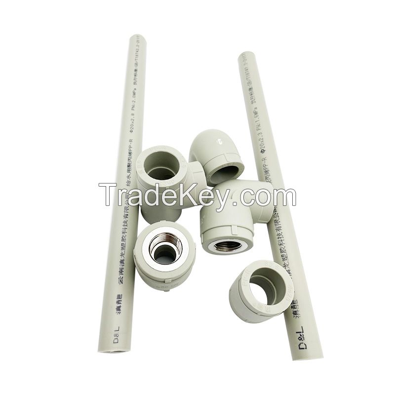 DIANLONG PPR water pipe fittings Cold and hot water universal accessories environmental protection heating pipe