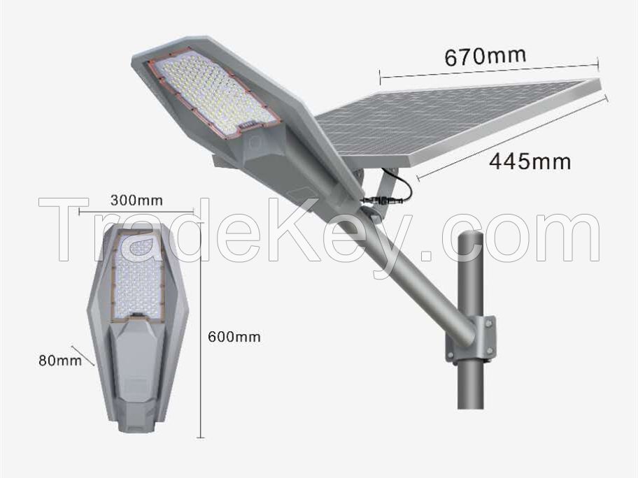 Separated Solar Street Lights