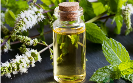 Mentha Piperita Oil