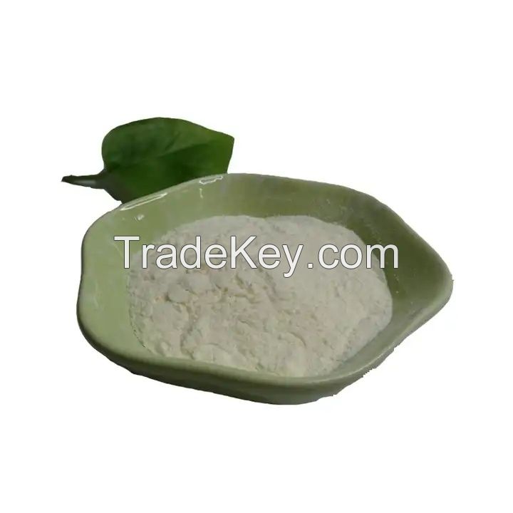Food Grade Xanthan Gum CAS 11138-66-2