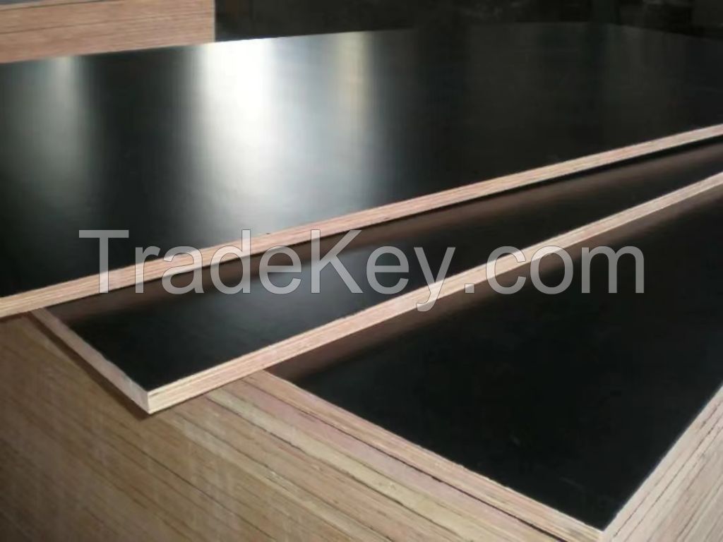 film faced plywood/phenolic board