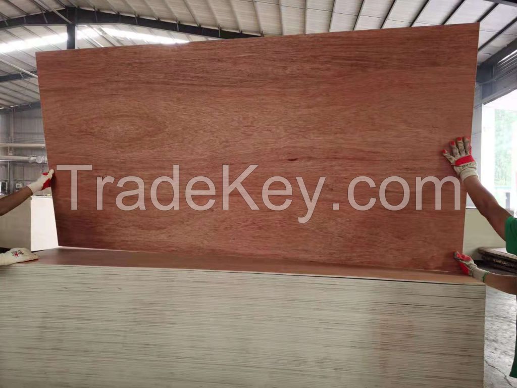 commercial plywood/ birch plywood/ bintangore plywood/ pencil cedar/ okoume plywood/...