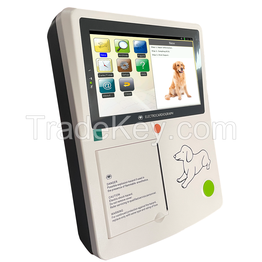 12 Lead Handheld Vet Animal 3 Channel Ecg Veterinary Portable Electrocardiograph Machine