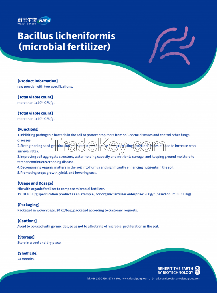 Bacillus licheniformis