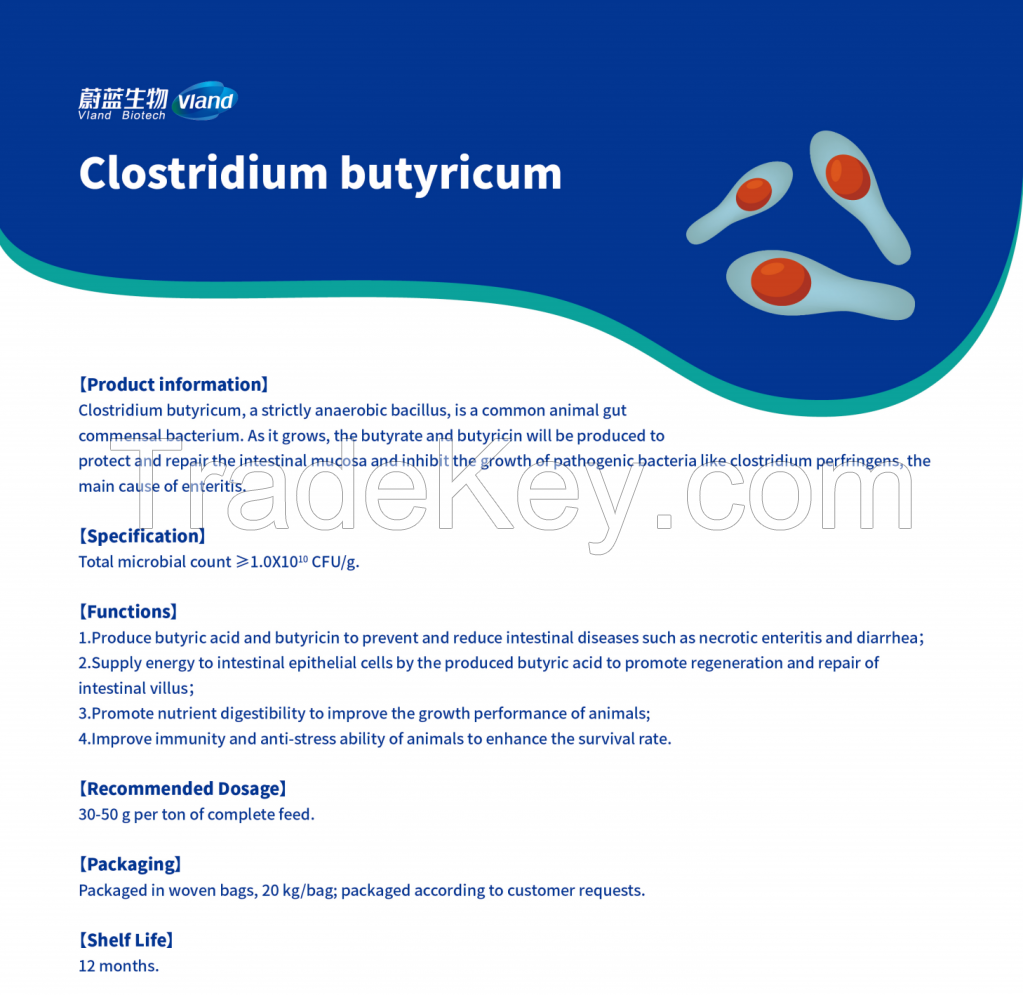 Clostridium butyricum