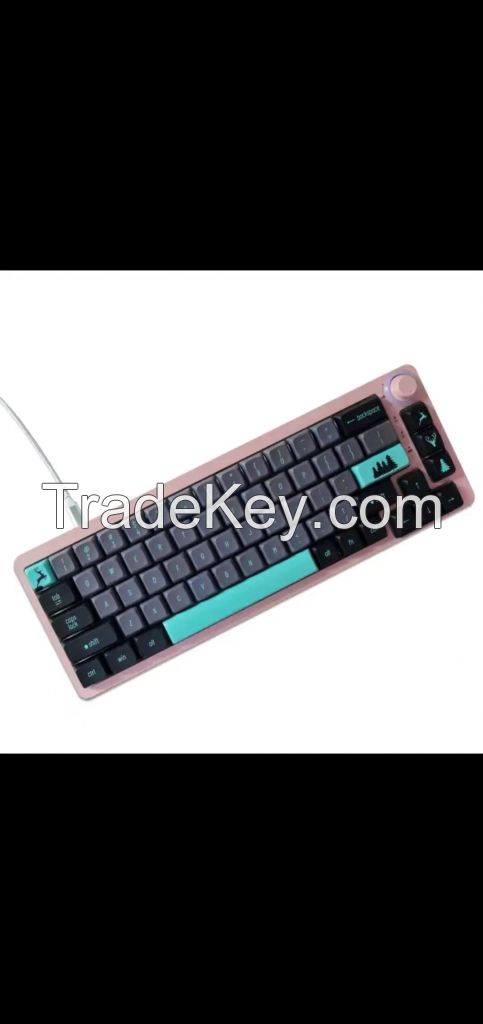 II keyboard Hot Selling Mekanisk Tastatur Backlight Mini Waterproof 60% Mechanical Abs Pbt Color Keycap 61 Key Wired Keyboard Gaming