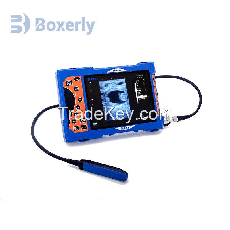 2023 Popular Model Factory Price Portable Ultrasound for Veterinary