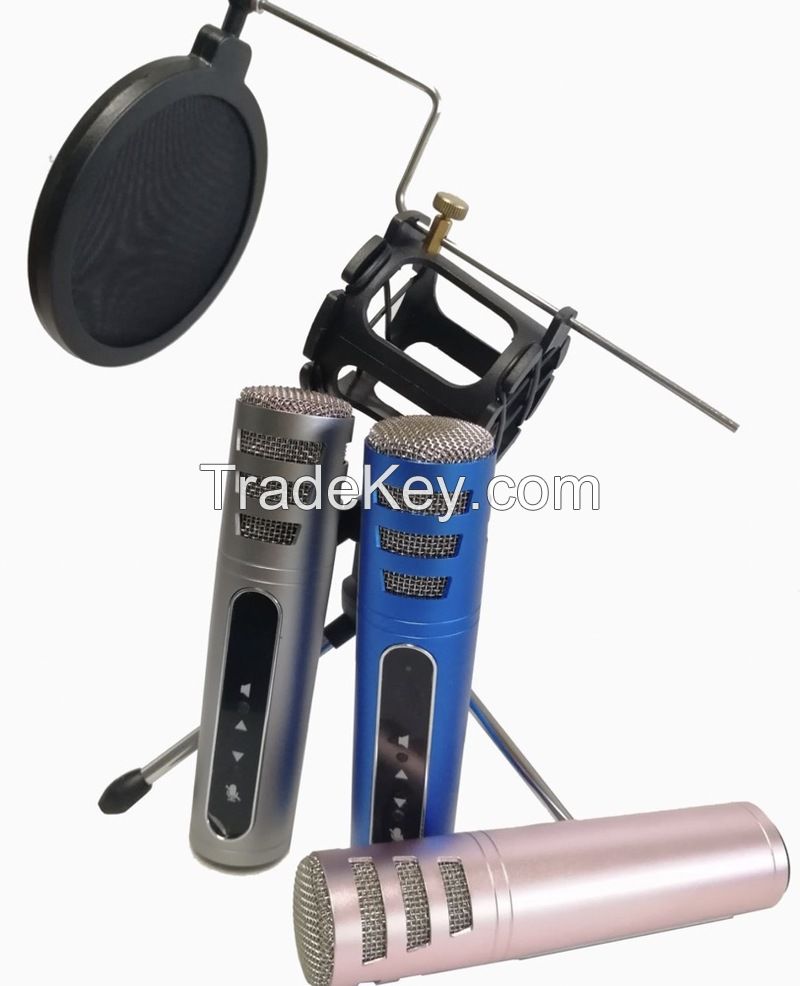 Portable microphone