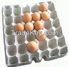 egg tray/egg packaging/egg box/egg carton