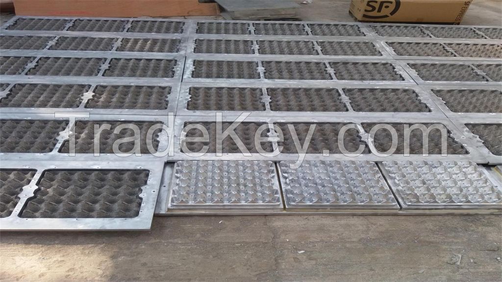 molded pulp moulds-egg tray dies