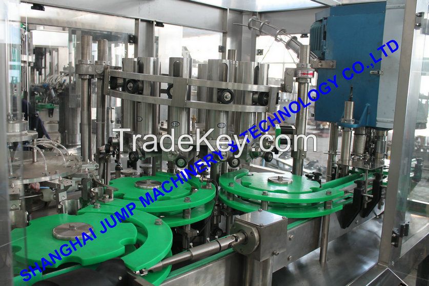 mango puree production line