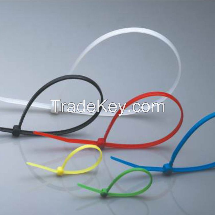 Self Lock Polyamide 6.6 Standard Cable Ties