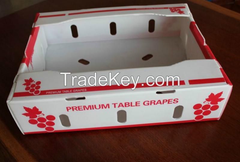 pp corrugated sheet box