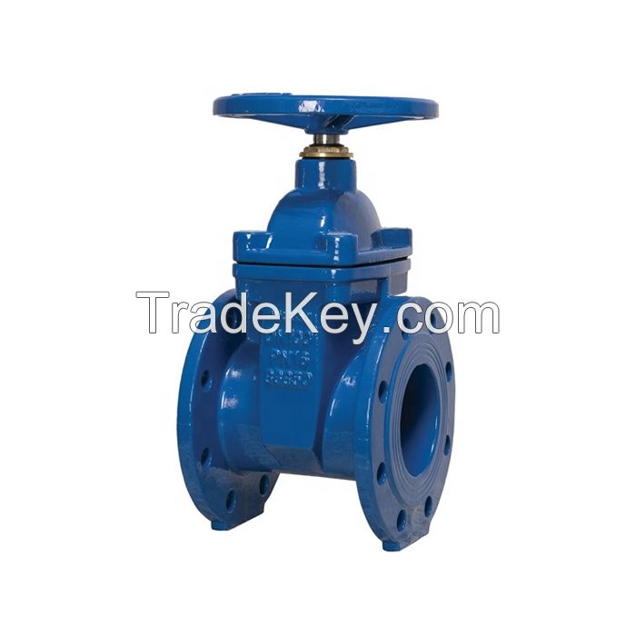 DIN PN10 PN16 Ductile Cast Iron GGG50 Hand wheel Resilient Seated Water Seal Gate Valve