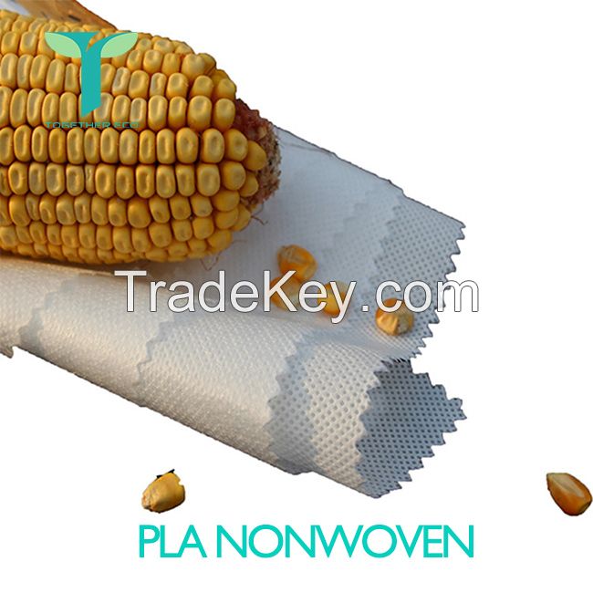 China BIODEGRADABLE PLA NONWOVEN FABRIC 120gsm 100 Polyamide spunbond non woven fabric