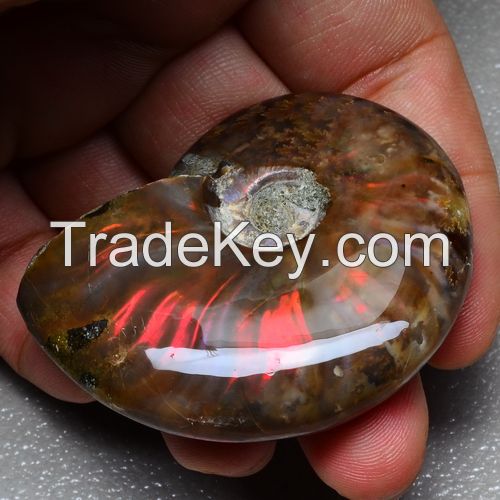 Iridescent Ammonite with blue rainbow pendant