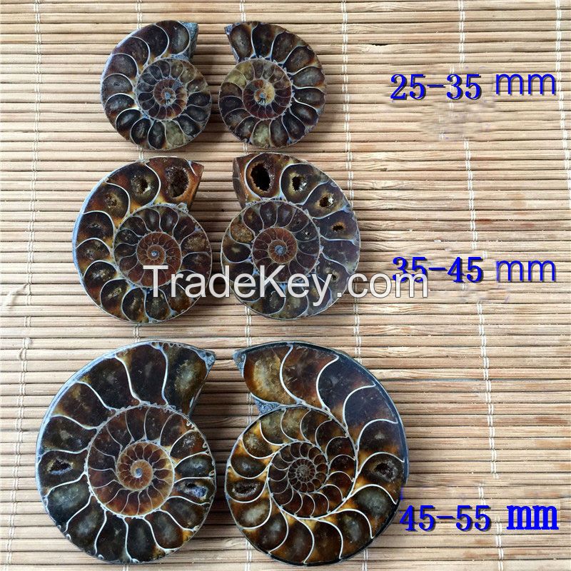 Natural  ammonite fossil with druzy  pendants