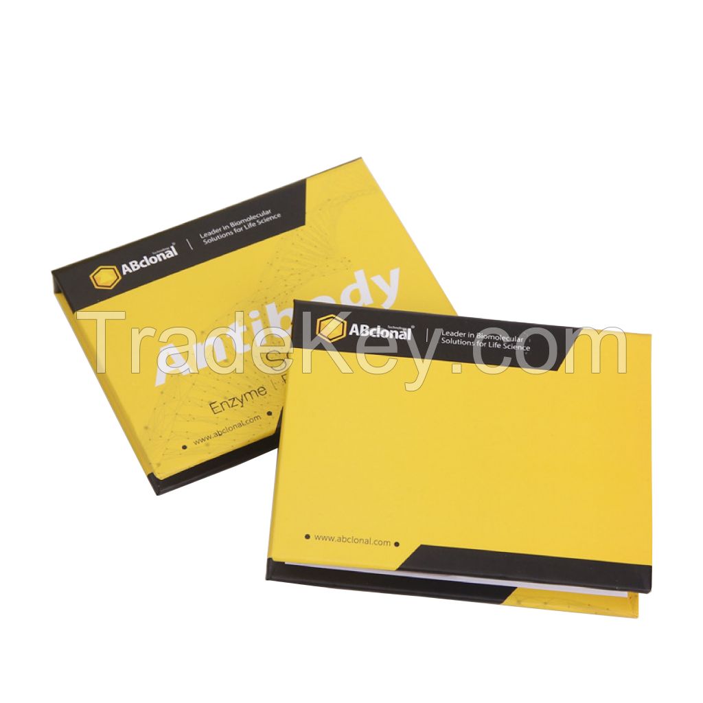 Factory Custom Promotional Memo Pad Fluorescent Paper Sticky Notepad