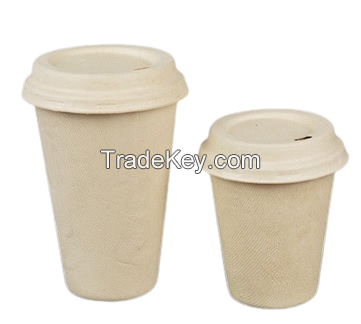 Sugarcane Disposable Cup, bowl, plate