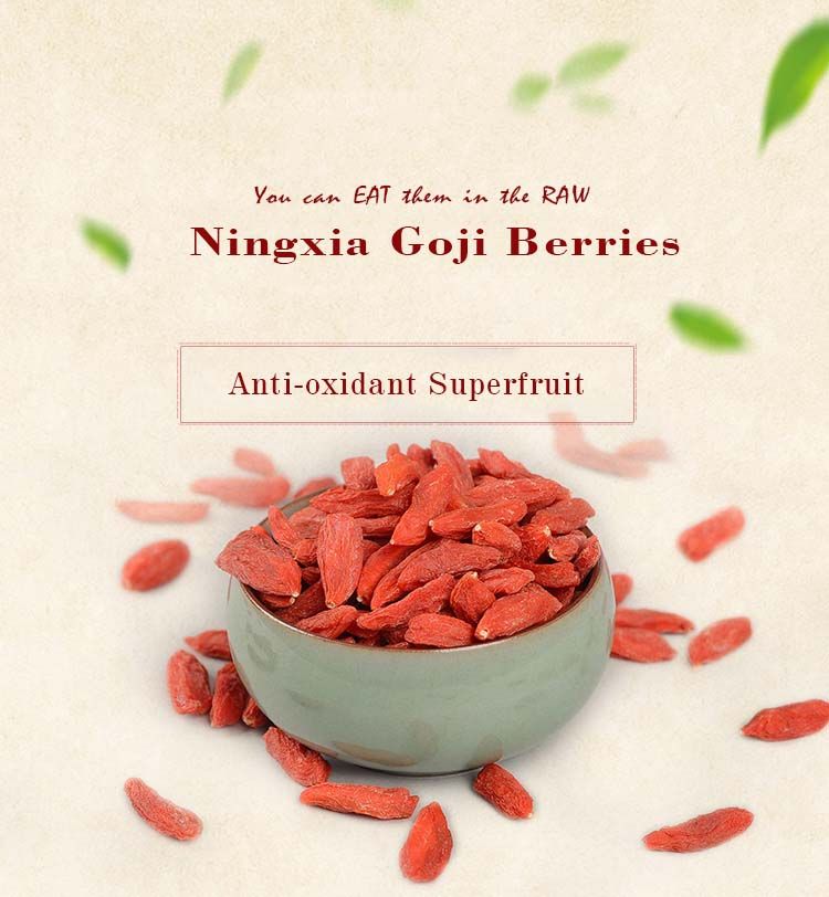 Goji Berry Chinese Wolfberry Health Superfood