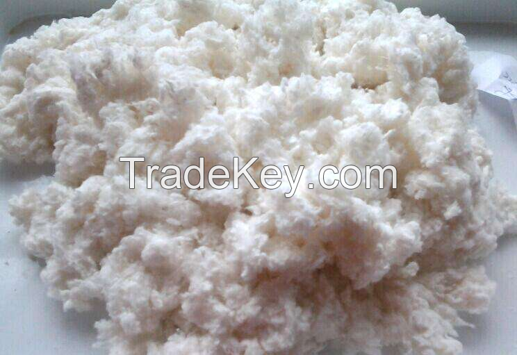 Wood Cellulose Fiber