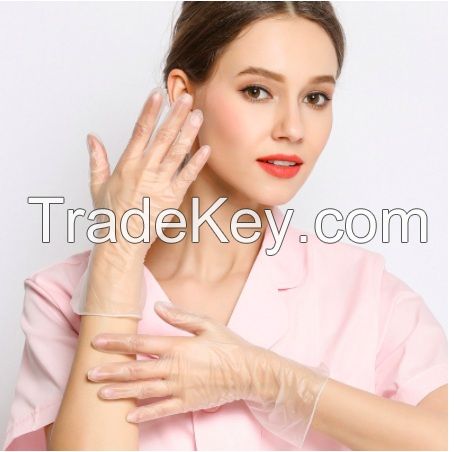 Disposable Powder and Powder Free PVC Gloves for Beauty/Nail/Hair