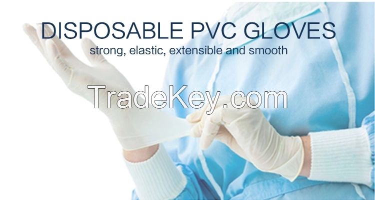 Disposable Powder and Powder Free PVC Gloves for Beauty/Nail/Hair