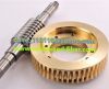 Worm and worm wheel/Worm and Worm Gear/Worm Wheel Reducer Parts/Steel worm shaft