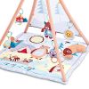 Baby Musical Gym Playmat